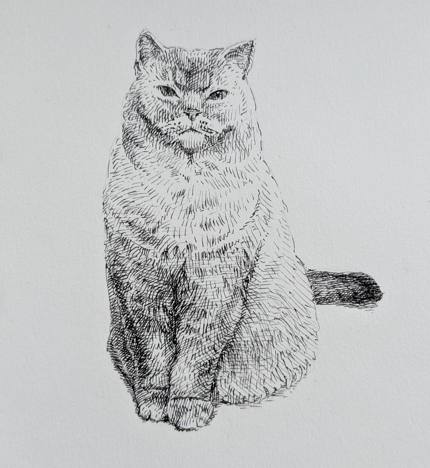 The Everyman Cinema, Bath